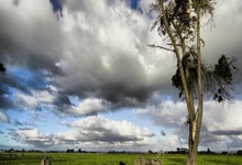 贝博- 特朗普来过中国几次